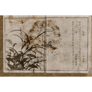 Nara GLAR251A