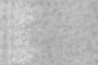 Papier peint Trace GLTO113A - GLAMORA