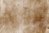 Papel Pintado Zenith GLNF113B - GLAMORA
