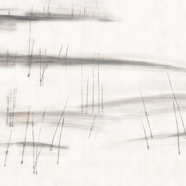 Papier peint Agua De Sueño GLAG121B - GLAMORA Papier peint Agua De Sueño GLAG121B - GLAMORA