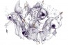 Papel Pintado CG43A-FISHCAKES-AND-REMEDIES - GLAMORA