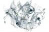 Papier peint CG44A-FISHCAKES-AND-REMEDIES - GLAMORA