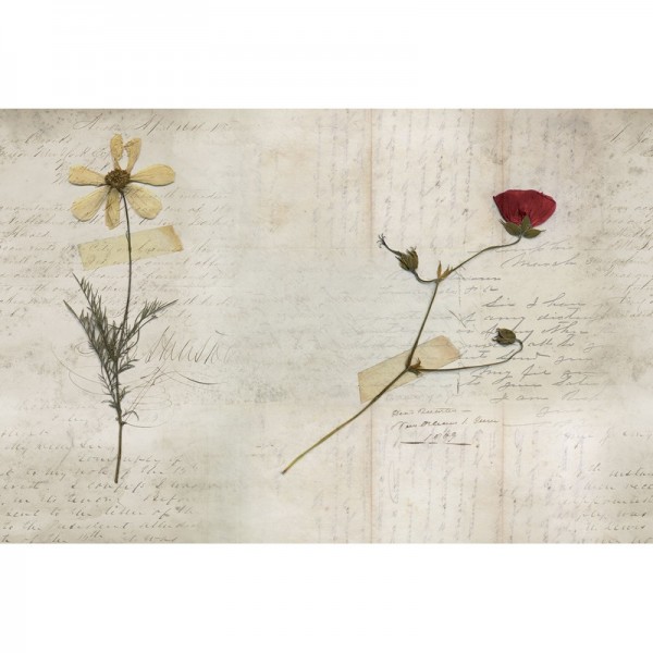 Carta da Parati GLL22A-STILL-LIFE - GLAMORA Carta da Parati GLL22A-STILL-LIFE - GLAMORA