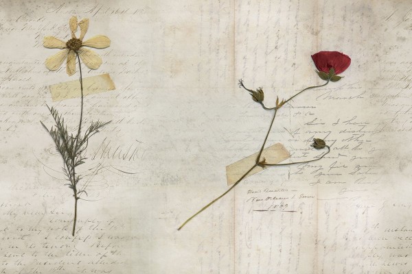 Carta da Parati GLL22A-STILL-LIFE - GLAMORA