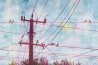 Wallpaper GLVI51A-HI-LIGHTS - GLAMORA