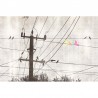 Papier peint GLVI53A-HI-LIGHTS - GLAMORA