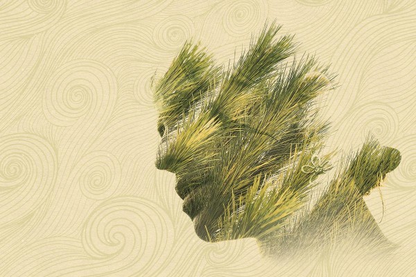 Carta da Parati GS1A-REFLEXIVE-PINE - GLAMORA