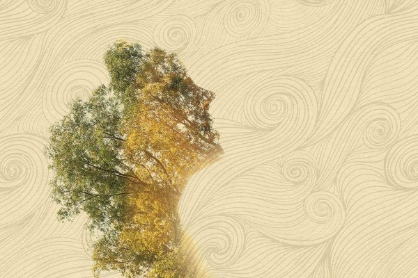 Wallpaper GS4A-SMILING-WOOD - GLAMORA