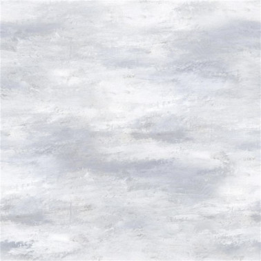 Wallpaper PDG677-05 CIELO - CLOUD - Designers Guild