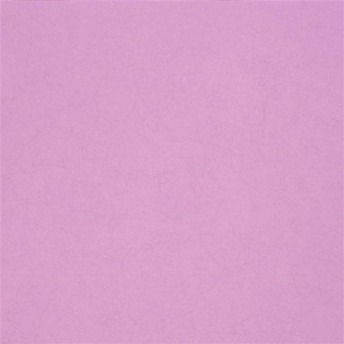 Tapete P502-40 ERNANI - PEONY - Designers Guild