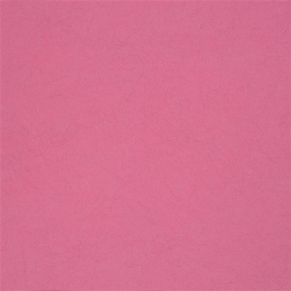 Tapete P502-41 ERNANI - FUCHSIA - Designers Guild Tapete P502-41 ERNANI - FUCHSIA - Designers Guild