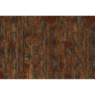 Papier peint CRICKET GLCR071B - GLAMORA
