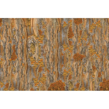 Tapete CRICKET GLCR074A - GLAMORA