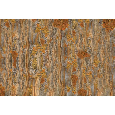 Carta da Parati CRICKET GLCR074B - GLAMORA