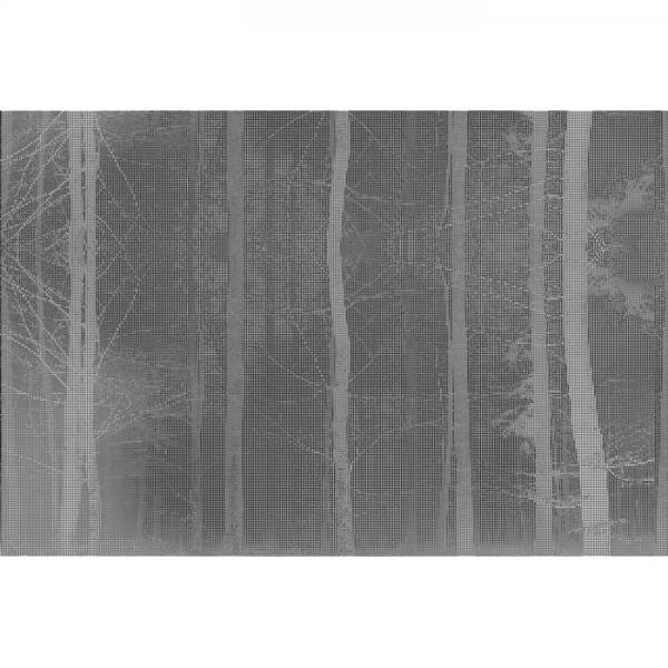 Papel Pintado FOREST GLPI11A - GLAMORA Papel Pintado FOREST GLPI11A - GLAMORA