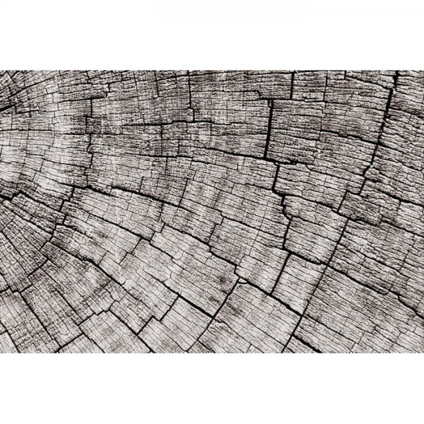 Wallpaper MANTIS GLCR023 - GLAMORA Wallpaper MANTIS GLCR023 - GLAMORA