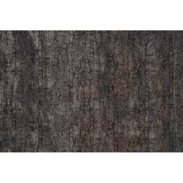Carta da Parati MOTH GLCR031A - GLAMORA