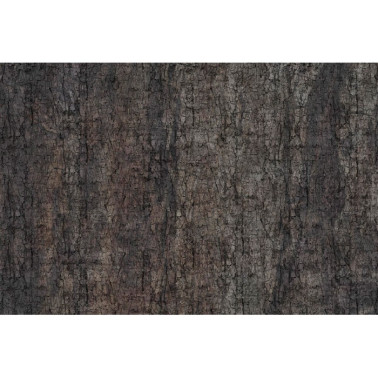 Carta da Parati MOTH GLCR031B - GLAMORA