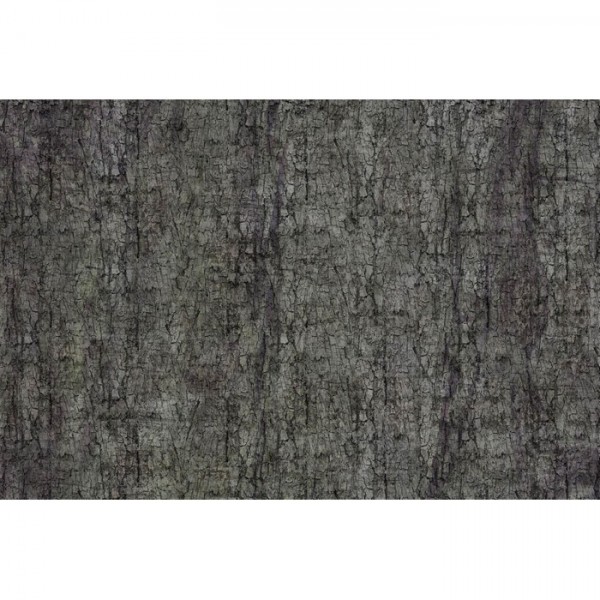 Carta da Parati MOTH GLCR033B - GLAMORA Carta da Parati MOTH GLCR033B - GLAMORA