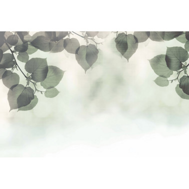 Papel Pintado SHADOW GLFR30A - GLAMORA
