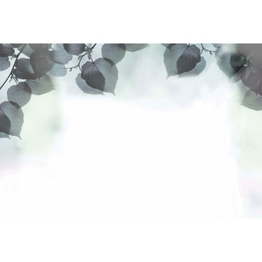 Papel de parede SHADOW GLFR31B - GLAMORA