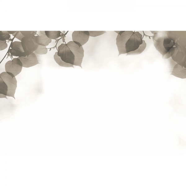 Papier peint SHADOW GLFR33B - GLAMORA Papier peint SHADOW GLFR33B - GLAMORA