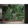 Papier peint GARDEN GLPI21A - GLAMORA