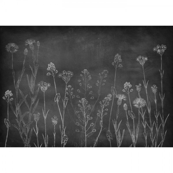 Wallpaper Wild Chalk Night Mural 8500102 - COORDONNE Wallpaper Wild Chalk Night Mural 8500102 - COORDONNE
