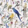 PCL7017/02 BIRDS SINFONIA PERCE NEIGE