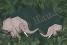 Carta da Parati Jungle - LITTLE HANDS