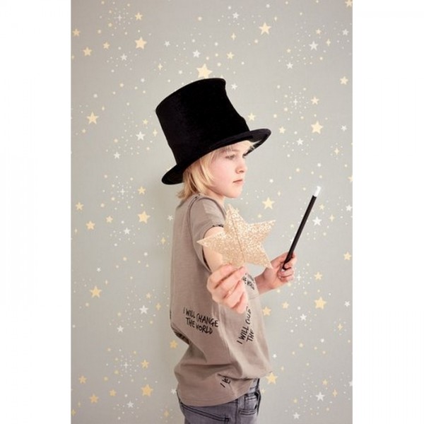 Papier peint Twinkle Mud Grey 135-01 - MAJVILLAN