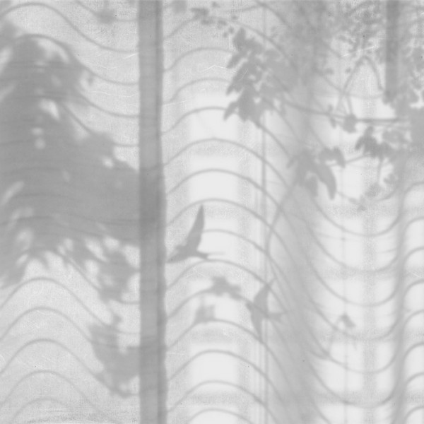 Papel Pintado Hortus Umbra M2609-3 Mural - Tres Tintas Papel Pintado Hortus Umbra M2609-3 Mural - Tres Tintas