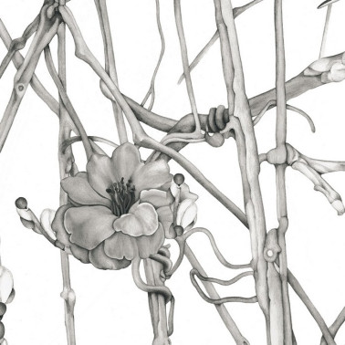 Wallpaper Mural L¡rica M3404-1 - Tres Tintas