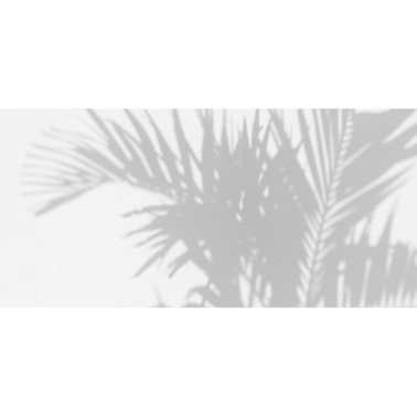 Papel Pintado PALM SHADOW DOM148 - LES DOMINOTIERS