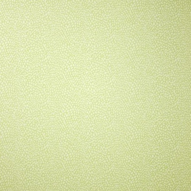 Wallpaper Oriole W6491-05 - OSBORNE and LITTLE