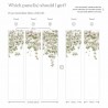 Wallpaper Classic Clematis Mural Wallpaper White - SIAN ZENG