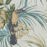 Le Toucan Esmeralda 1907-135-03