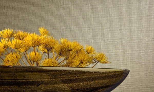 Papier peint Stream 67339 - ARTE CONTRACT