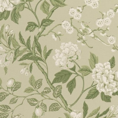 Papel de parede Emperors Garden Soft Green BW4500010 - GP & JBAKER