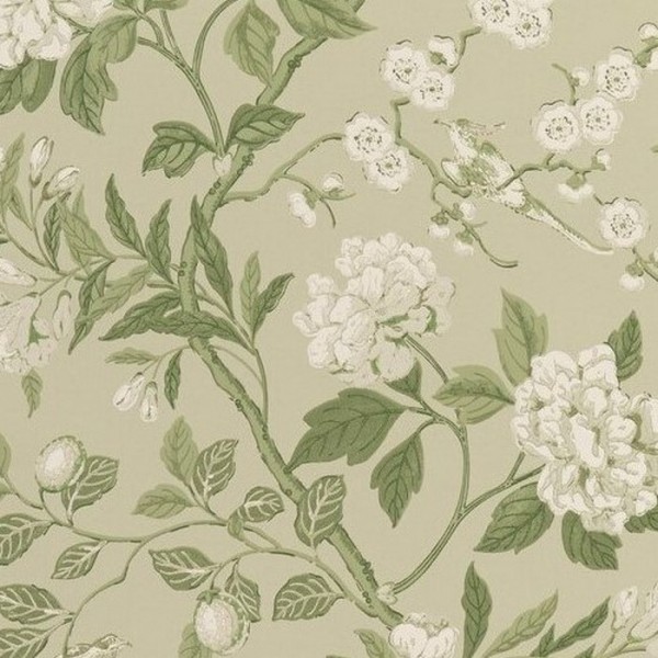 Papier peint Emperors Garden Soft Green BW4500010 - GP & JBAKER Papier peint Emperors Garden Soft Green BW4500010 - GP & JBAKER