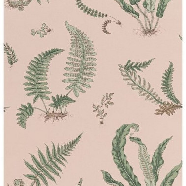 Wallpaper Ferns Blush BW4504411 - GP & JBAKER