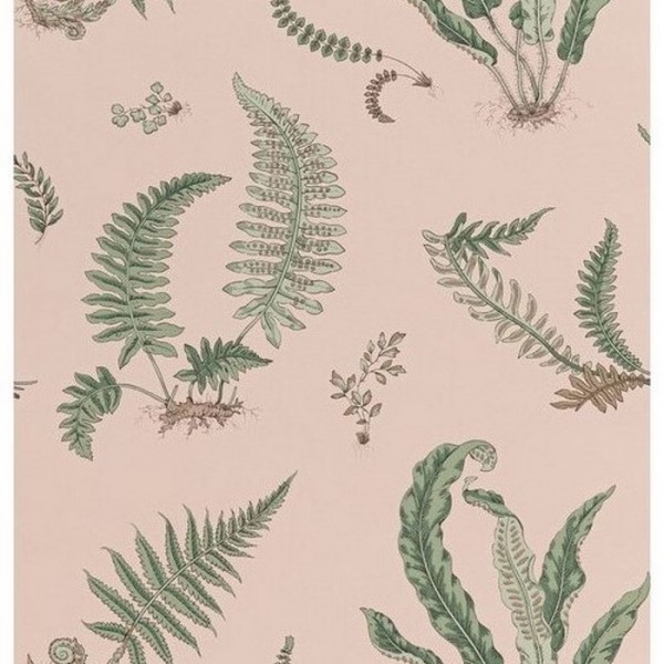 Carta da Parati Ferns Blush BW4504411 - GP & JBAKER Carta da Parati Ferns Blush BW4504411 - GP & JBAKER