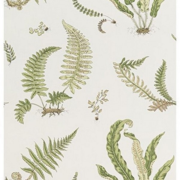 Papier peint Ferns Leaf BW4504410 - GP & JBAKER Papier peint Ferns Leaf BW4504410 - GP & JBAKER