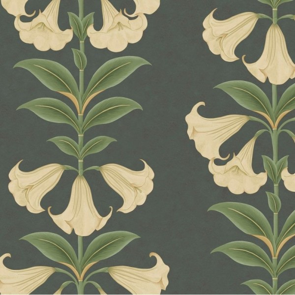Papel de parede Angel's Trumpet 117-3006 - COLE and SON Papel de parede Angel's Trumpet 117-3006 - COLE and SON