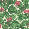 Wallpaper Geranium 117-11034 - COLE and SON
