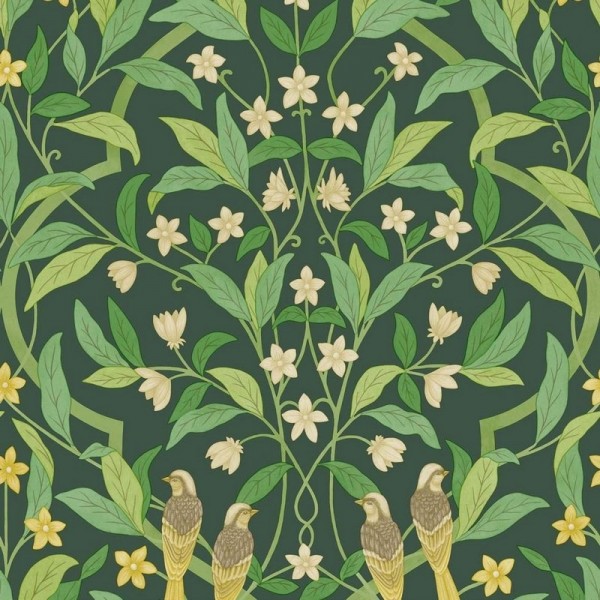 Tapete Jasmine & Serin Symphony 117-10029 - COLE and SON Tapete Jasmine & Serin Symphony 117-10029 - COLE and SON