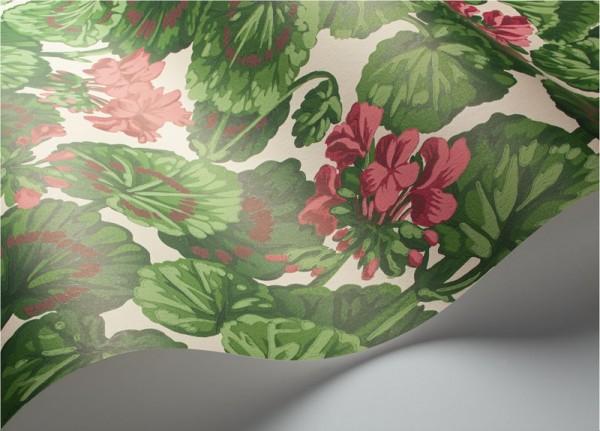 Wallpaper Geranium 117-11034 - COLE and SON