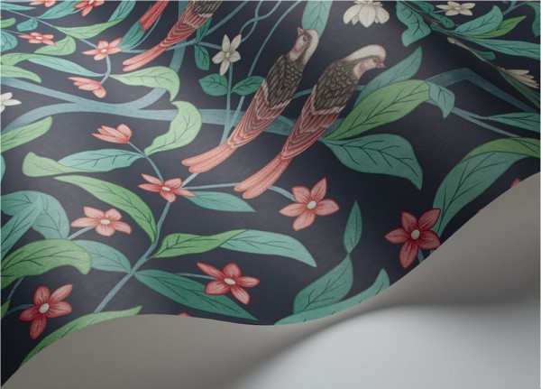 Carta da Parati Jasmine & Serin Symphony 117-10030 - COLE and SON