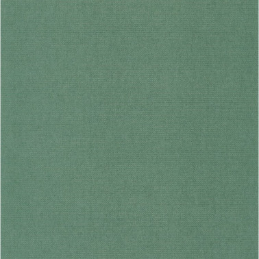 Wallpaper Canevas Uni Gazon 82077323 - Casadeco