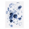 WP-207 Wall Mural Royal Blue Flores 1
